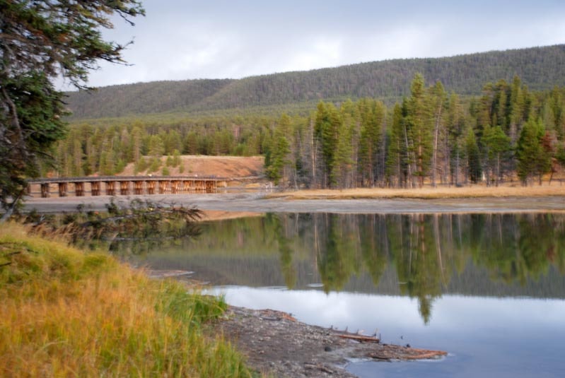 DSC_0383