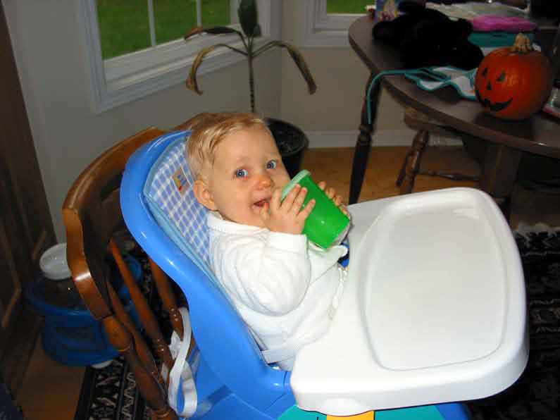 sippy_tn.jpg (3166 bytes)