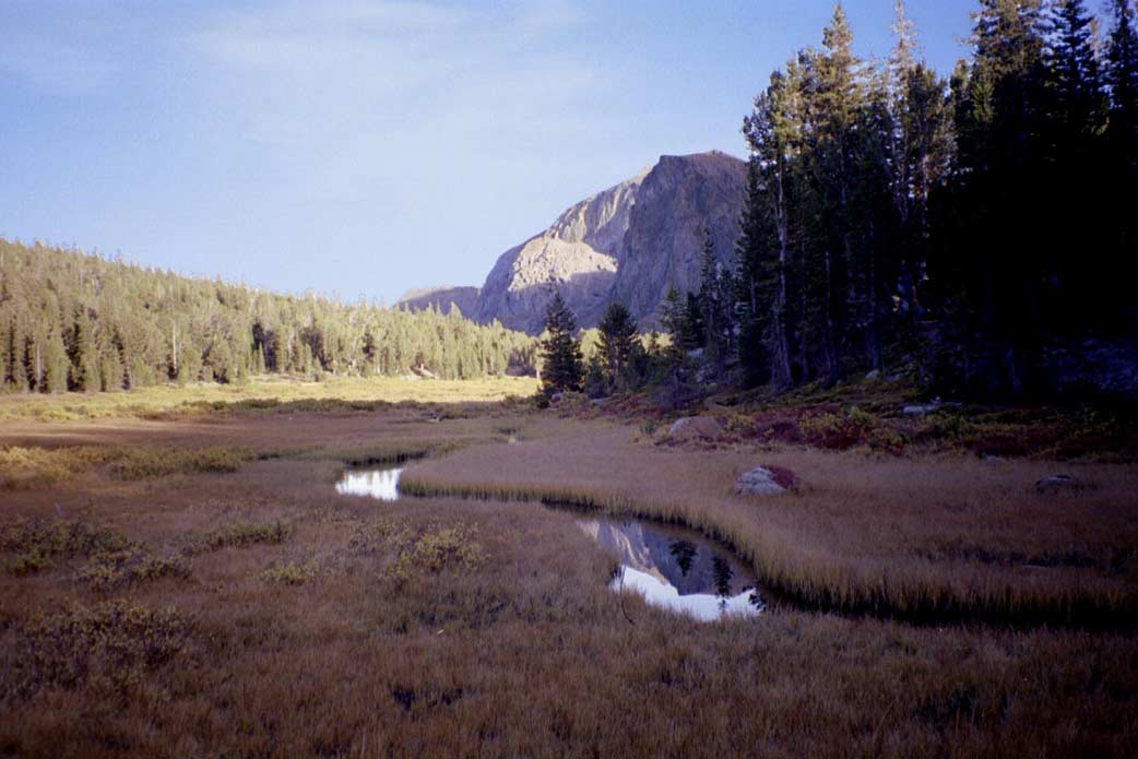 These are just some shots of "our" meadow that evening.