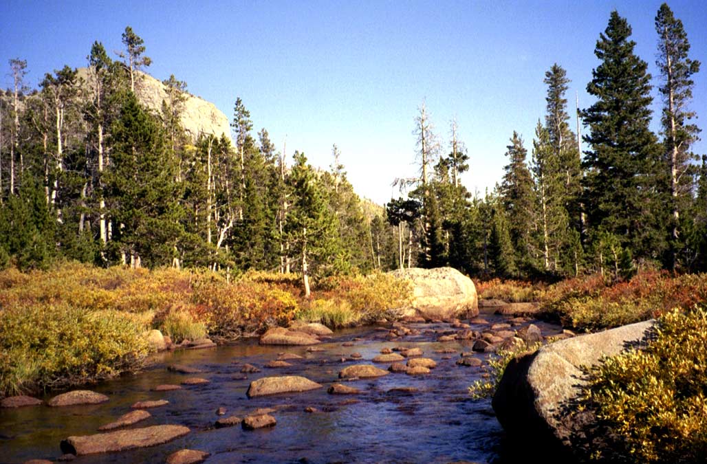 This is the stream that flows through the meadow. It's not deep at all but holds a lot of small brook trout. We caught a total of 14 or so. We released them all since they were all around 6 to 8 inches.